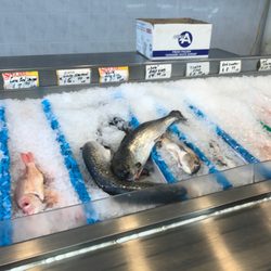 Fresh Fish Market