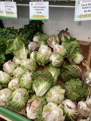 19th Avenue Farmer's Market by null