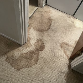 Magnificent Carpet Care - Horrible overspill mess on carpet. - Carpet Cleaning Near Me Magnificent Carpet Care - Horrible overspill mess on carpet. - Carpet Cleaning Near Me