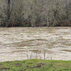 Harold and Sid Nichols Park and Boat Ramp - High and fast moving water in the river.