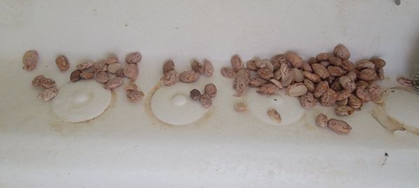 Super King Market by null