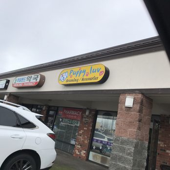 Puppy Luv - Front - Pet Groomers Near Me - Federal Way, Washington Puppy Luv - Front - Pet Groomers Near Me - Federal Way, Washington