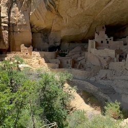 Mesa Verde Cliff Palace - Rees's Roots - Cliff Palace Mesa Verde National Park Colorado