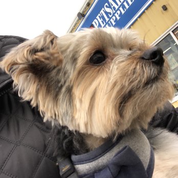Petsakes - Pet Stores Near Me - Des Moines, Iowa