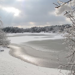 Der Kalka See