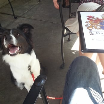 Dugan's Pub - Happy dog on the patio! - Irish Near Me - Little Rock, Arkansas Dugan's Pub - Happy dog on the patio! - Irish Near Me - Little Rock, Arkansas
