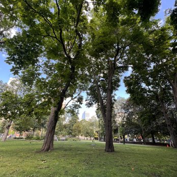 Grange Park - Park - Parks Near Me - Toronto, Ontario