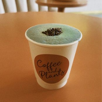 Coffee and Plants - Coffee & Tea Near Me - Studio City, California Coffee and Plants - Coffee & Tea Near Me - Studio City, California