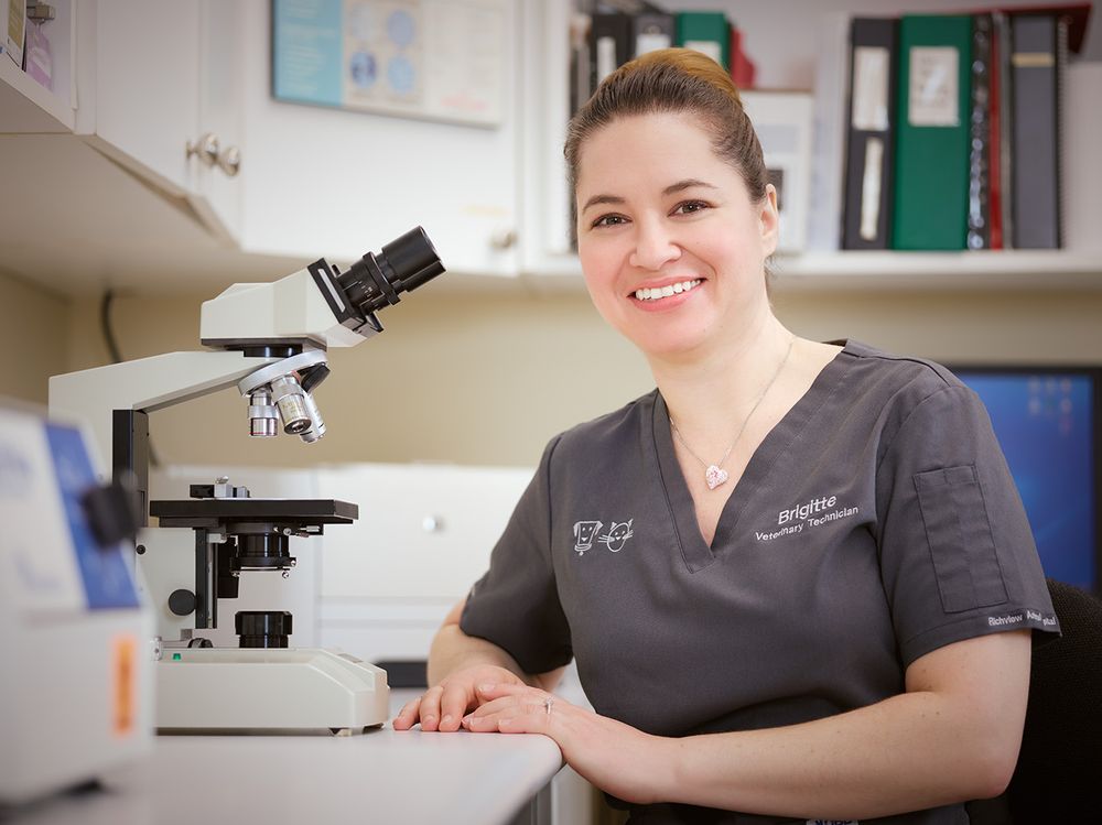 Jane Animal Hospital Image
