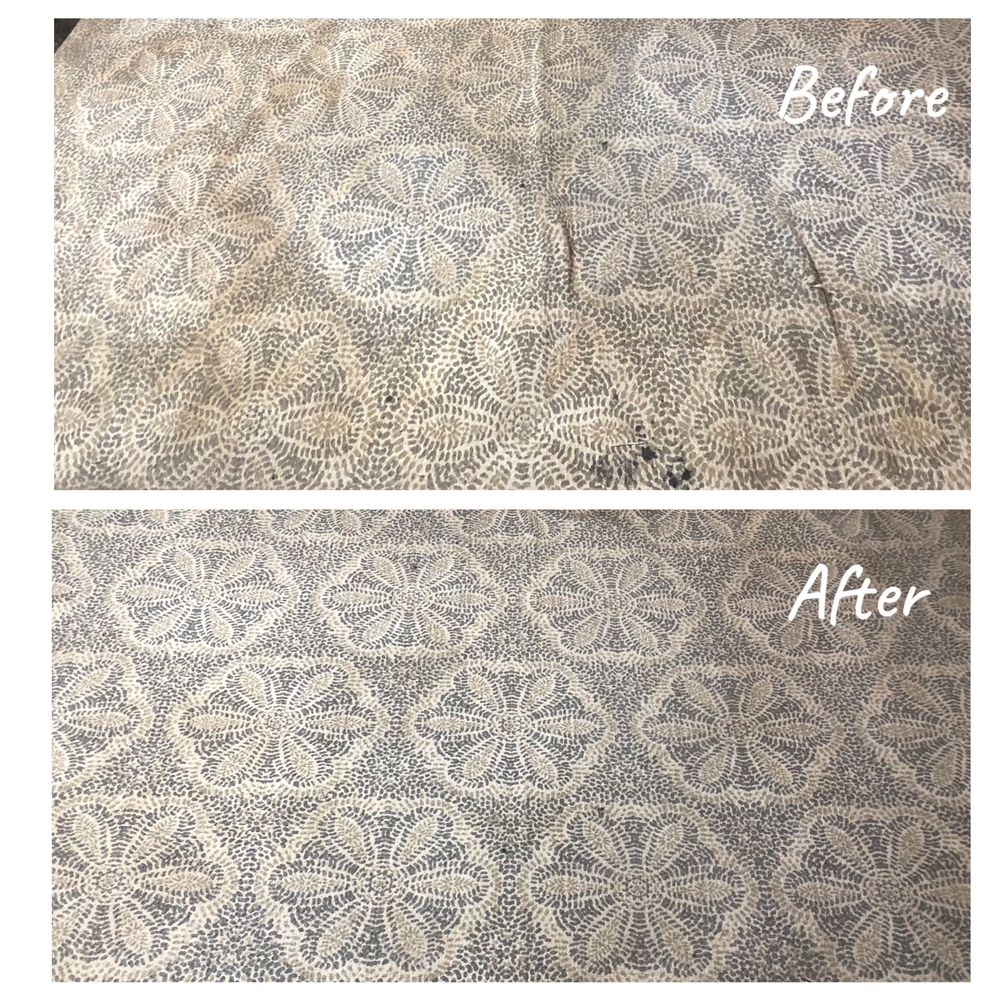 ALPHA CLEAN Request a Quote Minocqua, Wisconsin Carpet Cleaning Phone Number Yelp