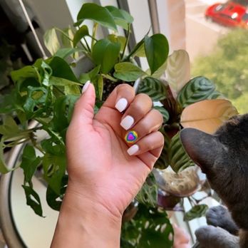 Sunshine Nails - Nail Salons Near Me - Alexandria, Virginia