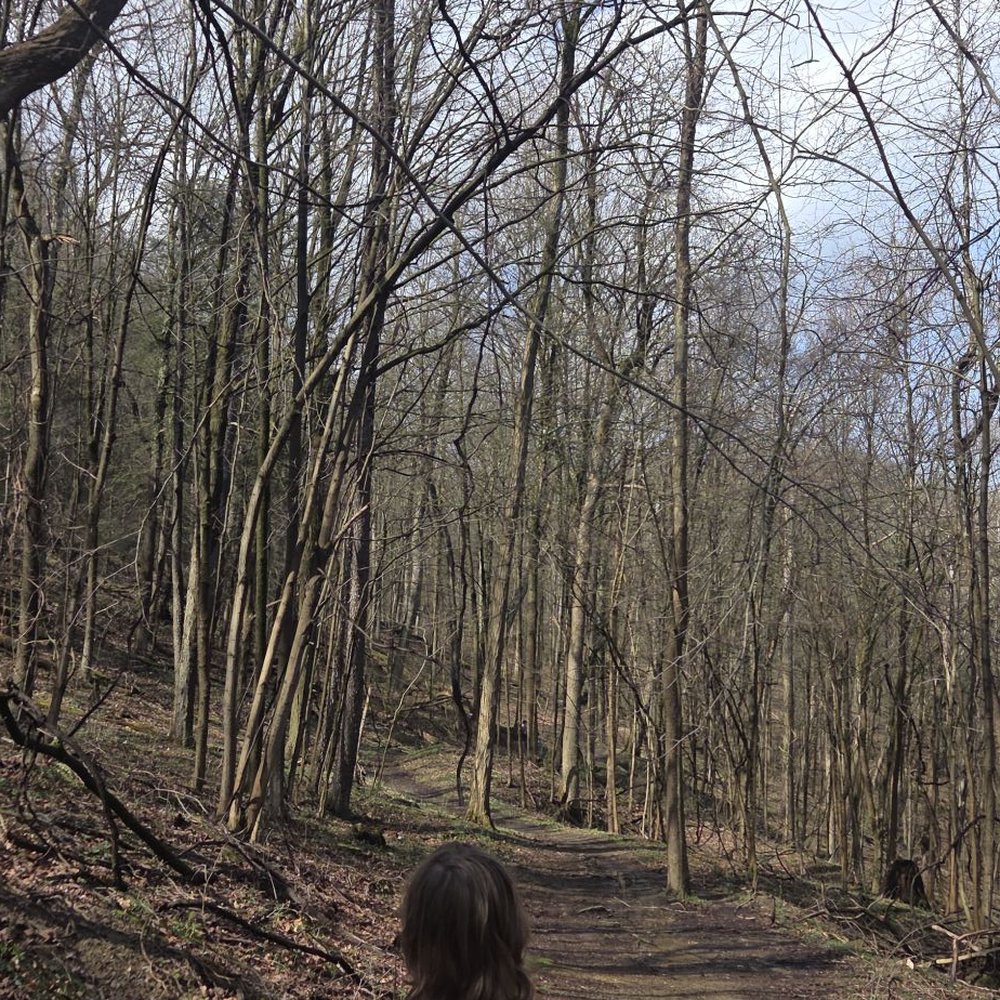 Montour Woods Conservation Area - Check out that kid checking out nature! - Hiking Near Me - Coraopolis, Pennsylvania