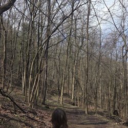 Montour Woods Conservation Area - Check out that kid checking out nature!