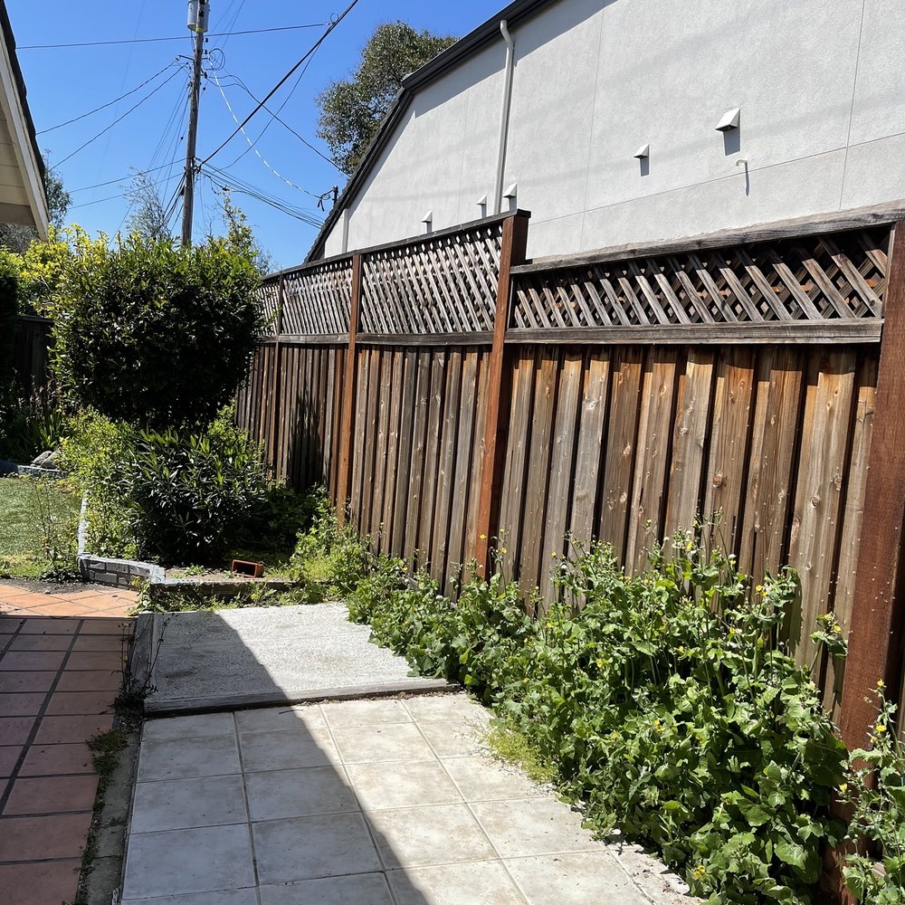 Willow Glen Gardening - Weeds alongside fence and on garden bed. - Gardeners Near Me