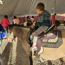 Johansen Farms - Pony rides!