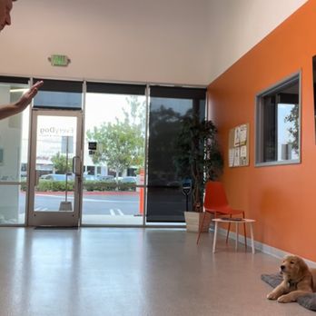 EveryDog - Pet Training Near Me - Tustin, California EveryDog - Pet Training Near Me - Tustin, California