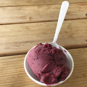Dulce Vida Ice Cream Factory - Blueberry Sorbet - Ice Cream & Frozen Yogurt Near Me - Columbus, Ohio