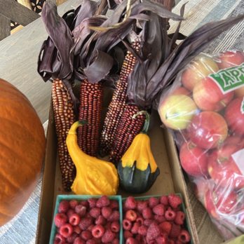 Knapton's - Raspberries Pumpkins & Orchard - Fruits & Veggies Near Me - Rockford, Minnesota Knapton's - Raspberries Pumpkins & Orchard - Fruits & Veggies Near Me - Rockford, Minnesota