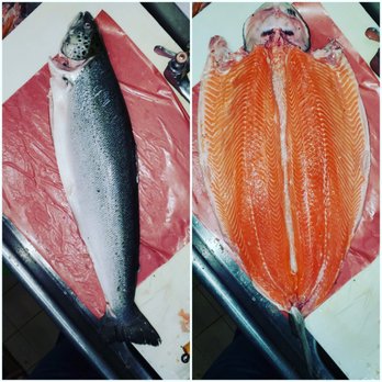 Snappers Fish Market - All about butterflying to perfection - Seafood Markets Near Me - Toronto, Ontario Snappers Fish Market - All about butterflying to perfection - Seafood Markets Near Me - Toronto, Ontario
