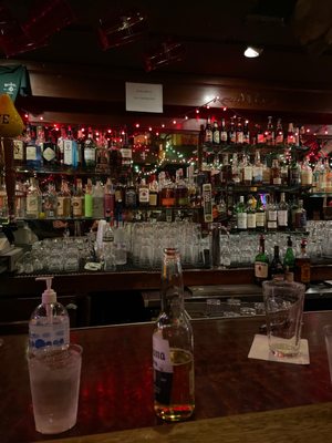 The Bitter End by null