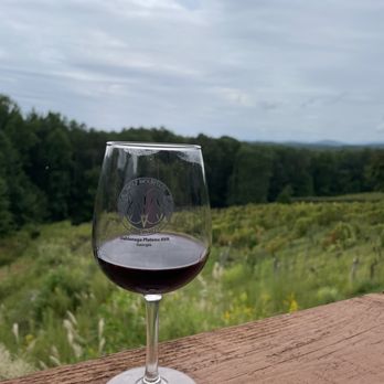 Wolf Mountain Vineyards - Back deck area - Wineries Near Me - Dahlonega, Georgia Wolf Mountain Vineyards - Back deck area - Wineries Near Me - Dahlonega, Georgia