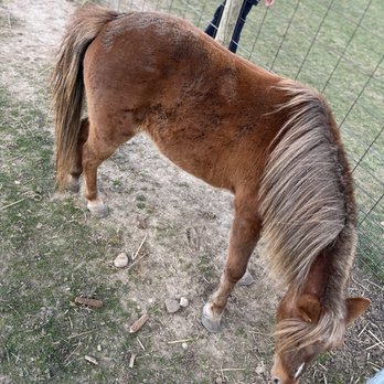 Westview Orchards & Winery - Pony to pet - Fruits & Veggies Near Me - Washington, Michigan Westview Orchards & Winery - Pony to pet - Fruits & Veggies Near Me - Washington, Michigan