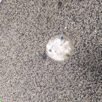 Haldens Carpets & Flooring - Commercial carpet repair before - Flooring Near Me Haldens Carpets & Flooring - Commercial carpet repair before - Flooring Near Me