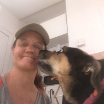 Reigning Cats & Dogs - Stella giving me some love after our last walk - Dog Walkers Near Me Reigning Cats & Dogs - Stella giving me some love after our last walk - Dog Walkers Near Me