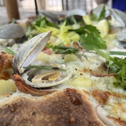 Pizza Marvin - Chowdah pie closeup