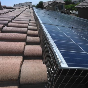 A Better Day Pigeon Control - Pest Control Near Me - Las Vegas, Nevada A Better Day Pigeon Control - Pest Control Near Me - Las Vegas, Nevada