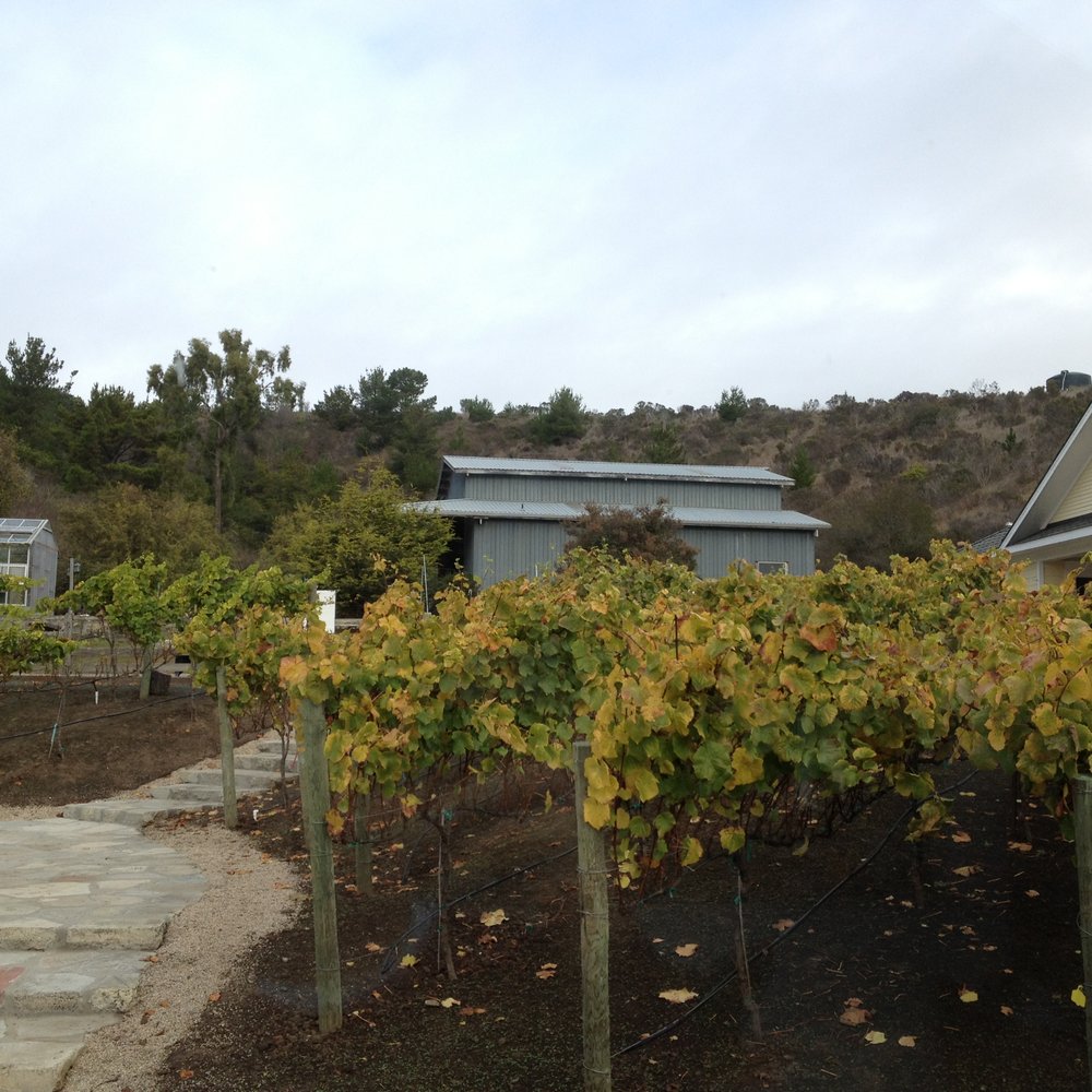 Fog's End Bed and Breakfast Inn - Bed & Breakfast Near Me - Cambria, California