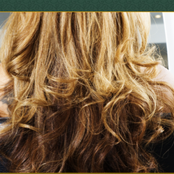 Little White Lies Salon