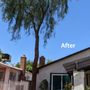 Photo of Diamond Tree Service