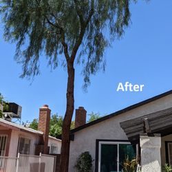Diamond Tree Service - after