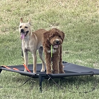 The K9X - Pet Boarding Near Me - New Braunfels, Texas The K9X - Pet Boarding Near Me - New Braunfels, Texas