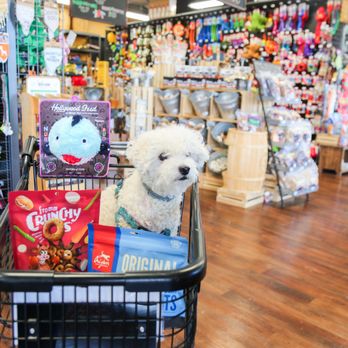 Hollywood Feed - Pet Stores Near Me - Augusta, Georgia Hollywood Feed - Pet Stores Near Me - Augusta, Georgia