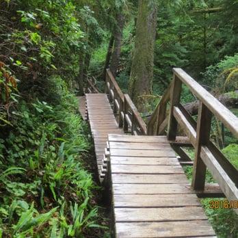 Schooner Cove Trail - steep stairs - Parks Near Me - Tofino, British Columbia Schooner Cove Trail - steep stairs - Parks Near Me - Tofino, British Columbia