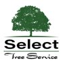 Select Tree Service