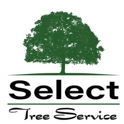 Select Tree Service