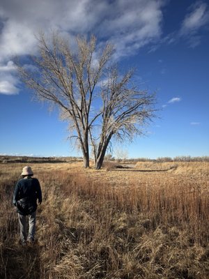 Cherry Creek State Park by null