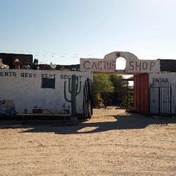 Cactus Shop