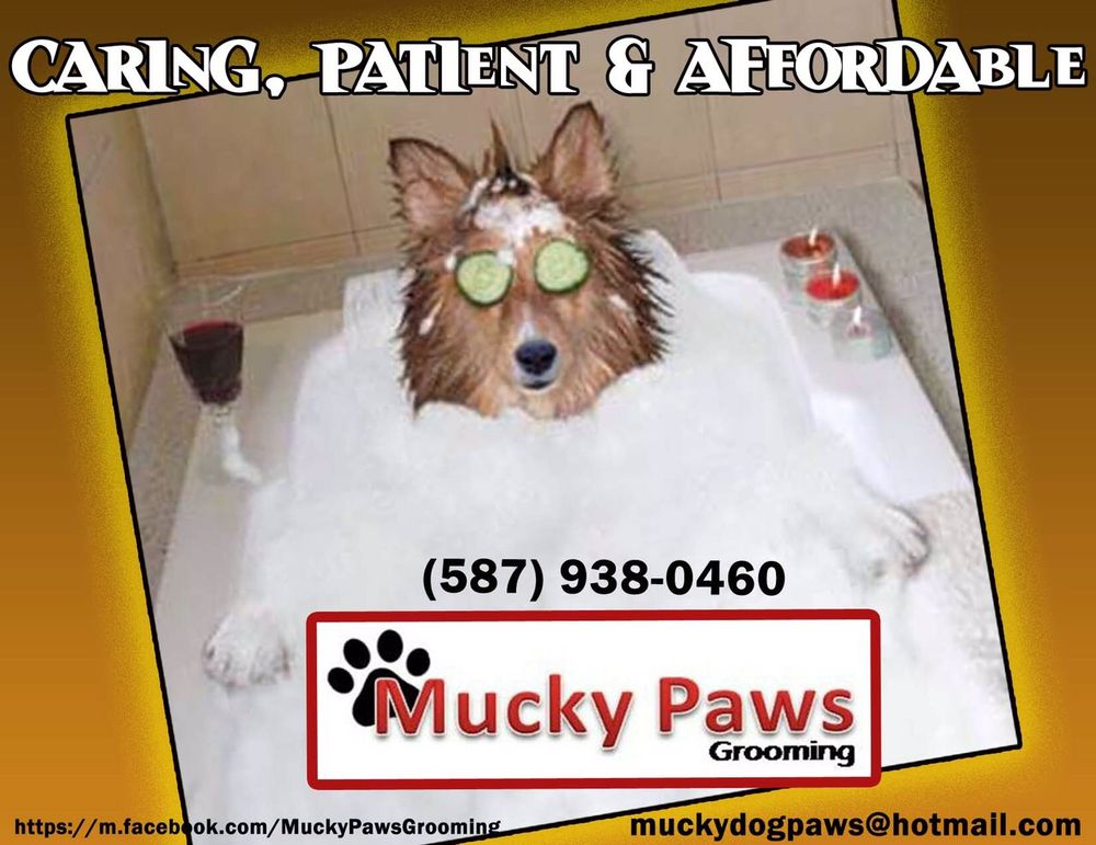 MUCKY PAWS GROOMING Updated October 2024 7717 85 Street, Edmonton