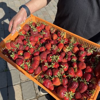 Hoffman Farm Store - Fruits & Veggies Near Me - Beaverton, Oregon