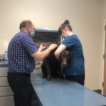 Sunnyside Veterinary Clinic - Veterinarians Near Me - Idaho Falls, Idaho Sunnyside Veterinary Clinic - Veterinarians Near Me - Idaho Falls, Idaho