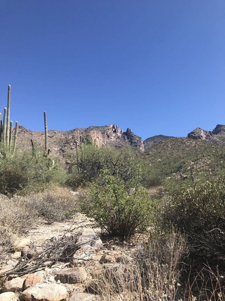 Pontatoc Ridge Trail Logo