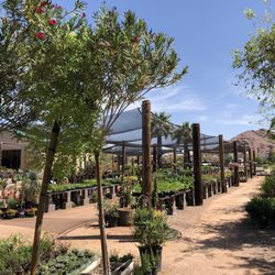 Arcadia Color Garden 2019 All You Need To Know Before Arcadia Color Garden 2019 All You Need To Know Before