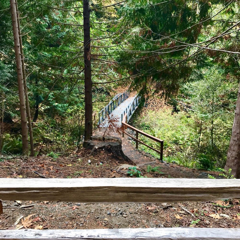 Scenic Beach State Park - Bridge - Parks Near Me - Seabeck, Washington Scenic Beach State Park - Bridge - Parks Near Me - Seabeck, Washington