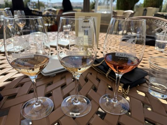 Las Positas Vineyards by null