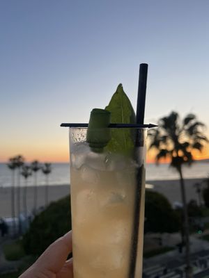 The Coco Club by null