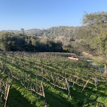 Pescatore Vineyard and Winery - Beautiful view - Wineries Near Me - Newcastle, California